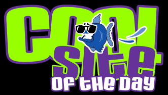 Cool Site
